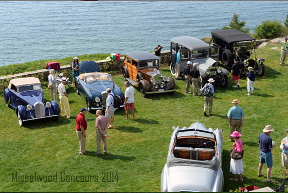people enjoying an antique automobile show